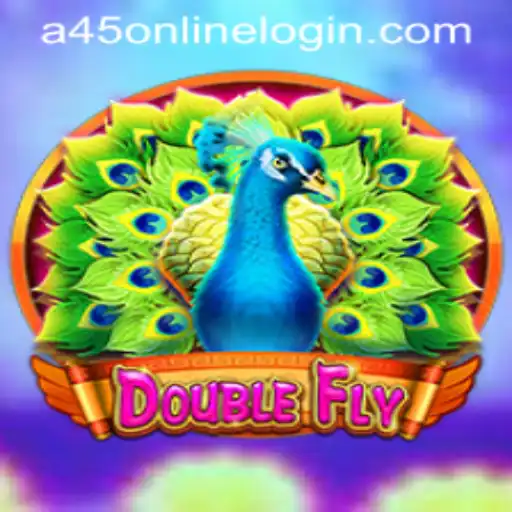 DoubleFly: An Exciting Dive into the World of Online Connectivity
